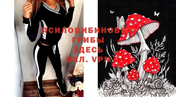 прущая мука Армянск