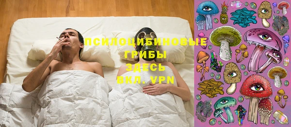 прущая мука Армянск