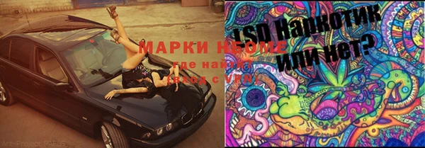 эйфоретик Аркадак